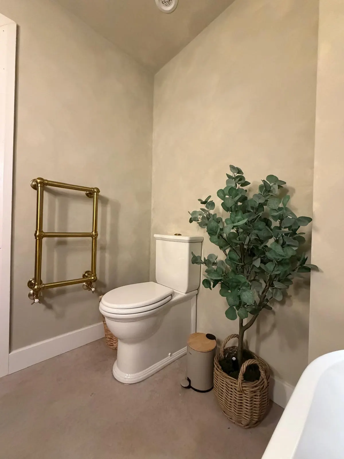 toilet with plant on the side